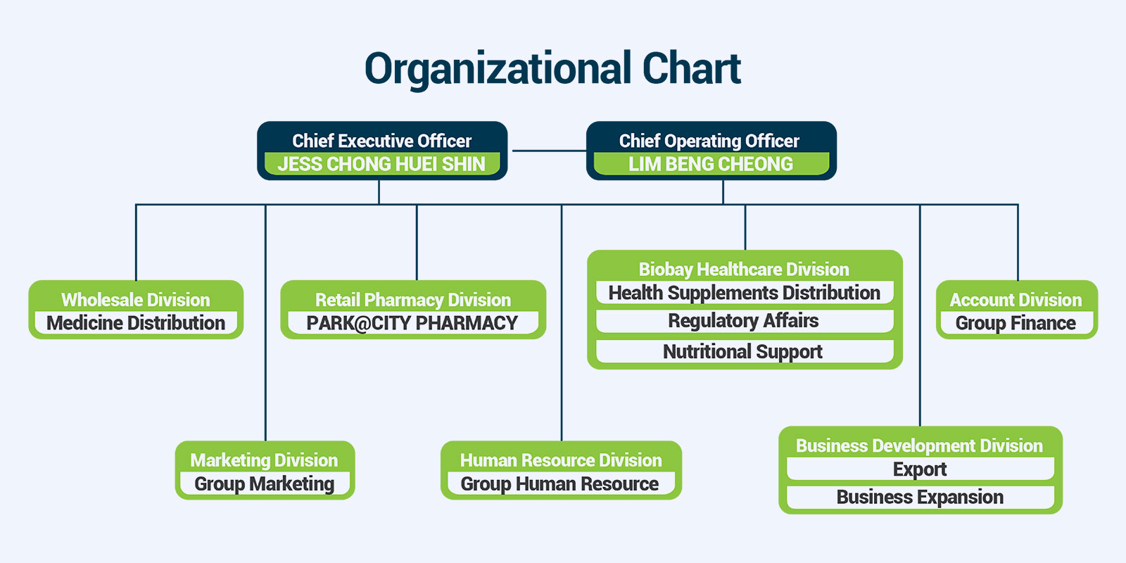 Organizational Chart